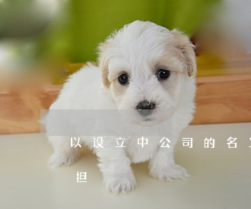 以设立中公司的名义对外签订合同的责任承担