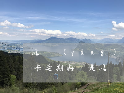 以貸養(yǎng)貸好還是逾期好?（讓信用卡逾期好還是以貸養(yǎng)貸好呢）