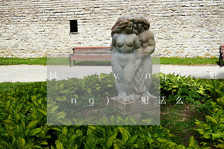 以貸養(yǎng)貸犯法么-以貸養(yǎng)貸犯法么