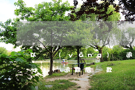 以貸養(yǎng)貸 逾期（以貸養(yǎng)貸逾期后還款）