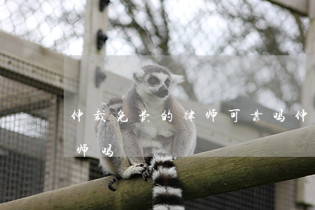 仲裁免费的律师可靠吗(仲裁有必要请代理律师吗)