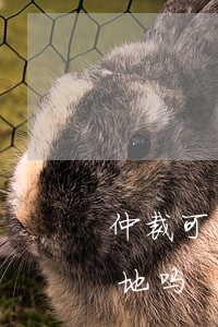 仲裁可以约定管辖法院吗(仲裁可以约定管辖地吗)