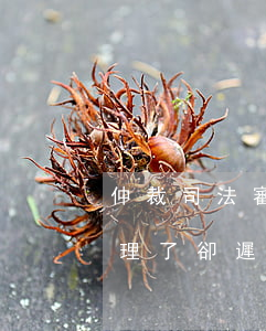 仲裁司法審查案件可以不開庭嗎(仲裁案件受理了卻遲遲不開庭)