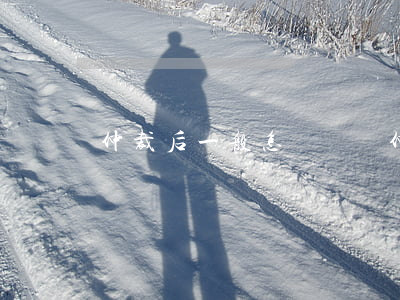 仲裁后一般怎樣給錢(仲裁后不給錢怎么辦)