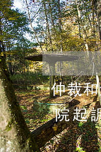 仲裁和法院可以同時(shí)嗎(仲裁和法院起訴可以同時(shí)進(jìn)行嗎)