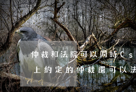仲裁和法院可以同時(shí)約定嗎(合同上約定的仲裁還可以法院起訴嗎)