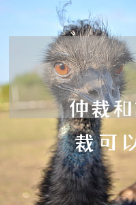 仲裁和訴訟可以同時約定嗎(合同雙方約定仲裁,可以直接起訴嗎)