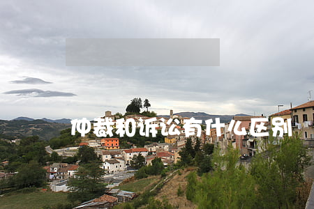 仲裁和诉讼有什么区别
