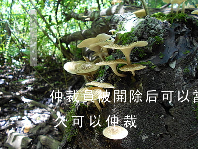 仲裁員被開除后可以當律師嗎(被公司辭退多久可以仲裁)