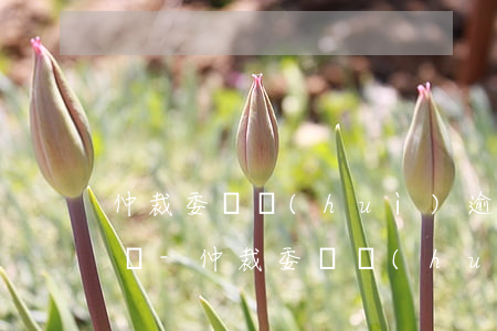 仲裁委員會(huì)逾期仲裁名單怎么查詢-仲裁委員會(huì)逾期仲裁名單怎么查詢不到