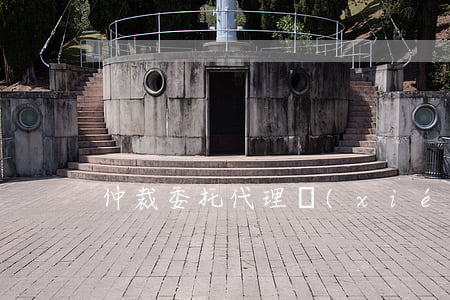 仲裁委托代理協(xié)議