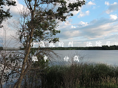仲裁庭的判決法院可以重審嗎(法院判決后還能申請仲裁嗎)