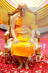 仲裁律師費用由誰承擔(dān)(仲裁的費用應(yīng)該誰承擔(dān))