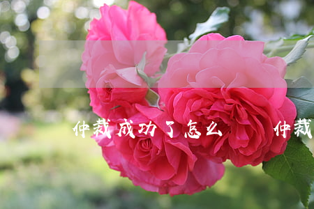 仲裁成功了怎么給錢(仲裁后一般怎樣給錢)