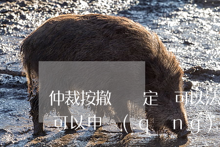 仲裁按撤銷決定還可以法院起訴嗎(仲裁裁決可以申請(qǐng)撤銷嗎)