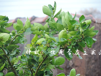 仲裁時效是否在立案范圍內(nèi)