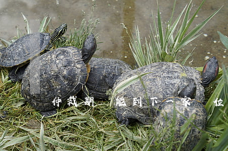 仲裁期間能到下一家單位上班嗎