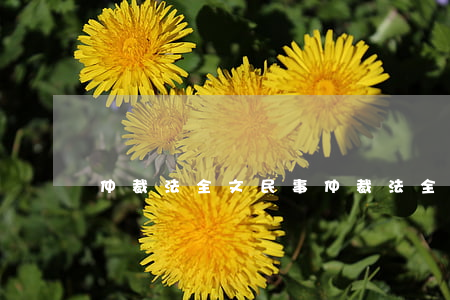仲裁法全文(民事仲裁法全文) 仲裁法全文(民事仲裁法全文)
