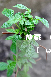 仲裁無(wú)果還可以向法院起訴嗎(仲裁無(wú)果還可以向法院起訴嗎)