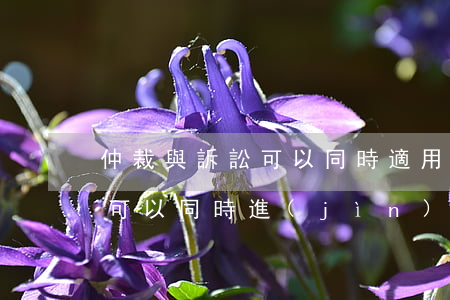 仲裁與訴訟可以同時適用嗎(仲裁和法院起訴可以同時進(jìn)行嗎)