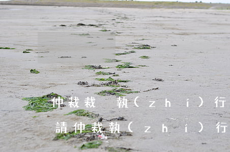 仲裁裁決執(zhí)行期限一般是多久（申請仲裁執(zhí)行條件）