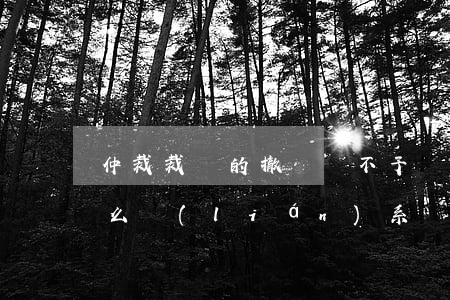 仲裁裁決的撤銷與不予執(zhí)行有什么聯(lián)系