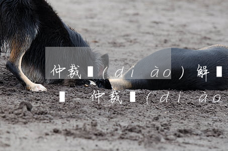 仲裁調(diào)解對方逾期不履行怎么辦-仲裁調(diào)解對方逾期不履行怎么辦呢