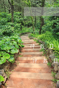 仲裁調(diào)解書可以起訴到法院嗎(仲裁調(diào)解書向哪個(gè)法院申請執(zhí)行)