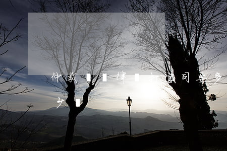 仲裁請個律師打官司要多少錢(仲裁律師費多少錢)