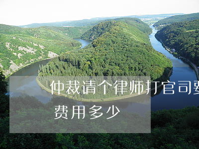 仲裁请个律师打官司要多少钱(请律师仲裁的费用多少)