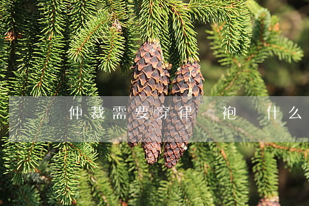 仲裁需要穿律師袍嗎(什么情況要穿律師袍)