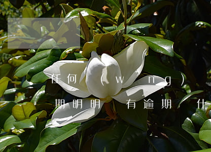 任何網(wǎng)貸都被拒怎么辦沒有逾期(明明沒有逾期,為什么網(wǎng)貸全部拒絕?)