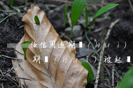 任信用逾期會(huì)起訴嗎? 任買快車逾期會(huì)被起訴嗎