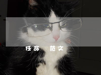 任命書范文