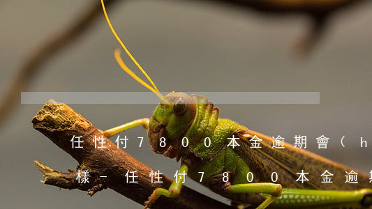 任性付7800本金逾期會(huì)怎么樣-任性付7800本金逾期會(huì)怎么樣嗎