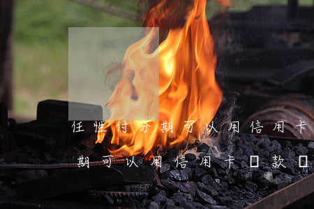 任性付分期可以用信用卡還款嗎-任性付分期可以用信用卡還款嗎