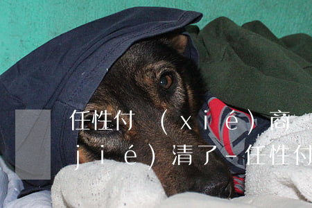 任性付協(xié)商還款后怎么證明結(jié)清了-任性付可以協(xié)商還款嗎