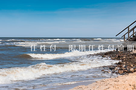 任性付寬限期（任性付逾期人數(shù)）