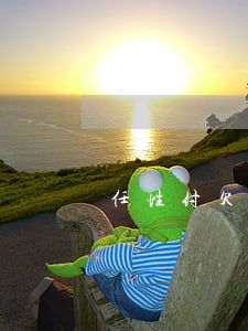 任性付欠多少钱怎么查