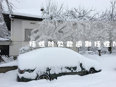 任性付欠款逾期(任性付逾期被起訴開庭案例)