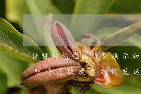 任性付的短信还款提示如何发送-任性付的短信还款提示如何发送短信