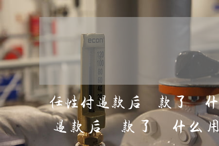 任性付退款后還款了為什么用不了-任性付退款后還款了為什么用不了了