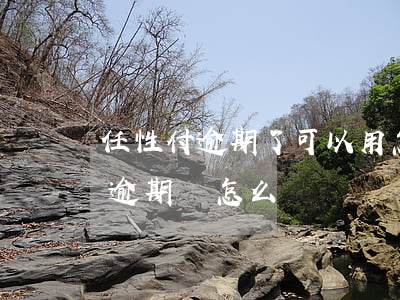 任性付逾期了可以用怎樣方式還款-任性付逾期會怎么樣