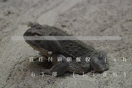 任性付逾期催收說(shuō)讓法務(wù)部聯(lián)系-任性付催款