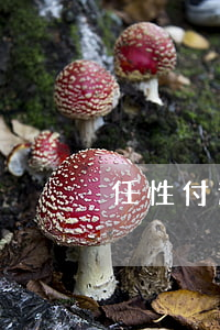 任性付逾期后會被起訴嗎