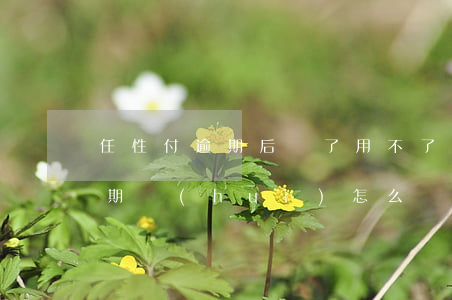 任性付逾期后還了用不了怎么辦-任性付逾期會(huì)怎么樣
