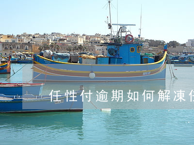任性付逾期如何解凍(任性付逾期了還能用嗎?)
