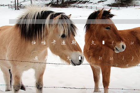 任性卡逾期多久會(huì)被起訴 任性卡逾期多久會(huì)被起訴