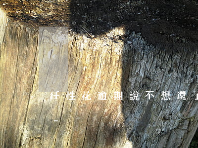 任性花逾期說不想還了會(huì)怎么樣-