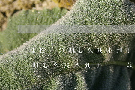 任性貸分期怎么找不到手動還款-任性貸分期怎么找不到手動還款了